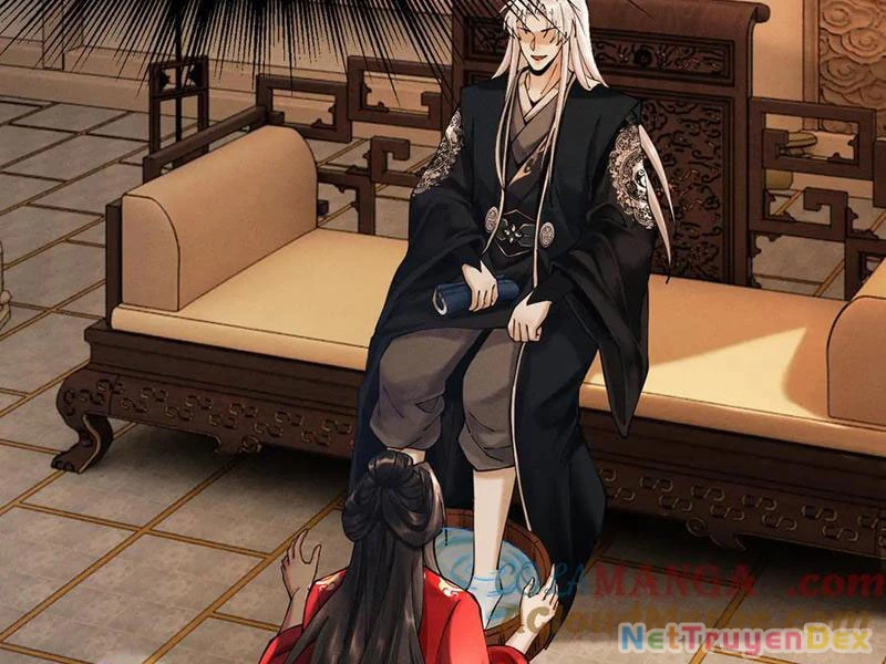 Gặp Mạnh Thì Mạnh, Ta Tu Vi Vô Thượng Hạn Chapter 11 - Trang 3