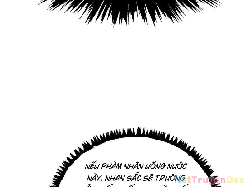 Gặp Mạnh Thì Mạnh, Ta Tu Vi Vô Thượng Hạn Chapter 11 - Trang 3