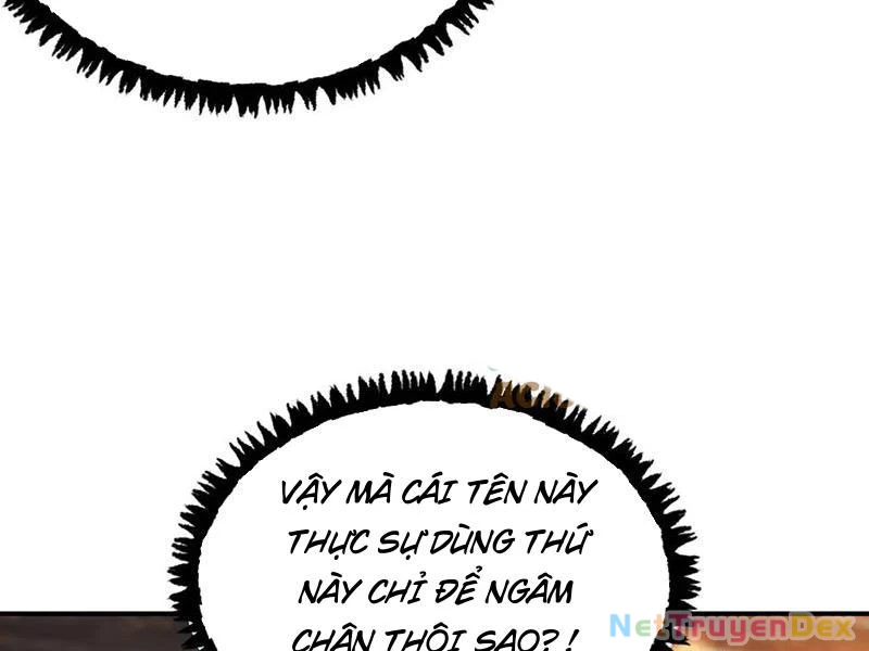 Gặp Mạnh Thì Mạnh, Ta Tu Vi Vô Thượng Hạn Chapter 11 - Trang 3