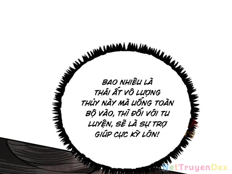 Gặp Mạnh Thì Mạnh, Ta Tu Vi Vô Thượng Hạn Chapter 11 - Trang 3