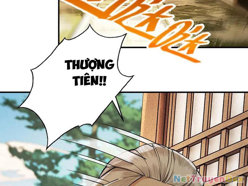 Gặp Mạnh Thì Mạnh, Ta Tu Vi Vô Thượng Hạn Chapter 11 - Trang 3