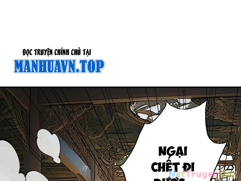Gặp Mạnh Thì Mạnh, Ta Tu Vi Vô Thượng Hạn Chapter 11 - Trang 3