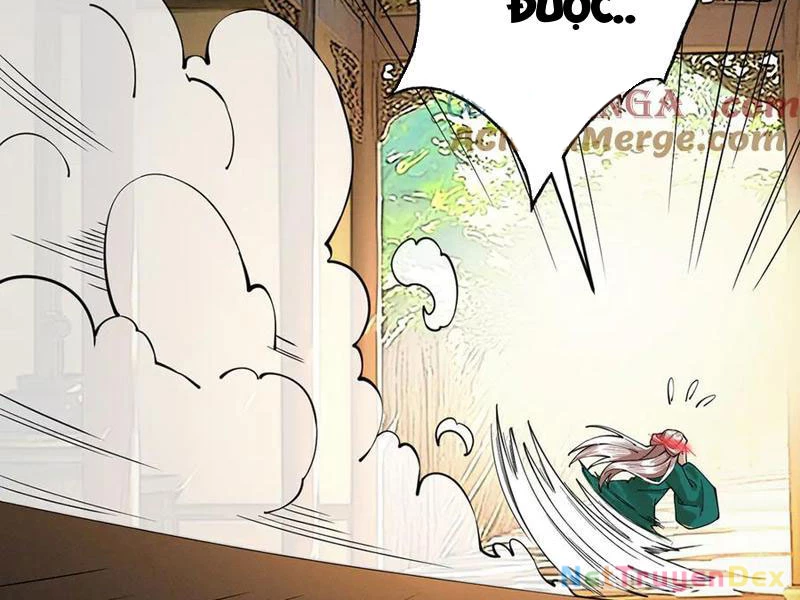 Gặp Mạnh Thì Mạnh, Ta Tu Vi Vô Thượng Hạn Chapter 11 - Trang 3