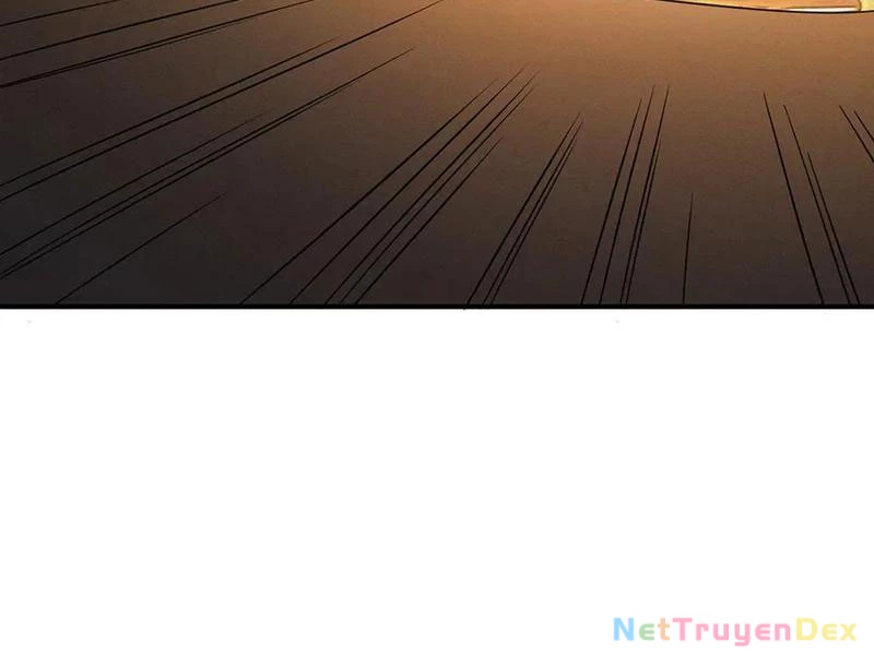 Gặp Mạnh Thì Mạnh, Ta Tu Vi Vô Thượng Hạn Chapter 11 - Trang 3