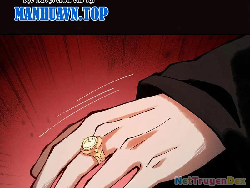 Gặp Mạnh Thì Mạnh, Ta Tu Vi Vô Thượng Hạn Chapter 11 - Trang 3