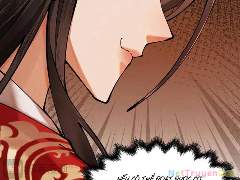 Gặp Mạnh Thì Mạnh, Ta Tu Vi Vô Thượng Hạn Chapter 11 - Trang 3