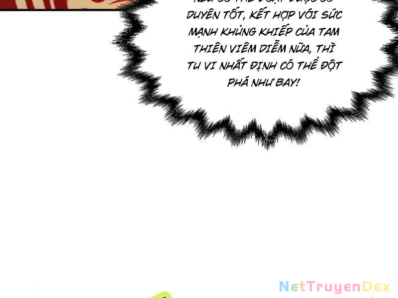 Gặp Mạnh Thì Mạnh, Ta Tu Vi Vô Thượng Hạn Chapter 11 - Trang 3