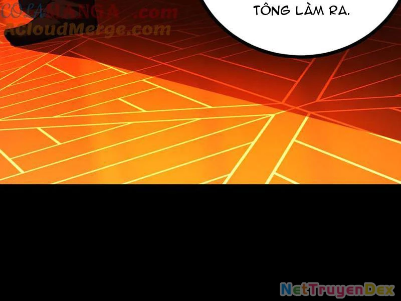 Gặp Mạnh Thì Mạnh, Ta Tu Vi Vô Thượng Hạn Chapter 11 - Trang 3