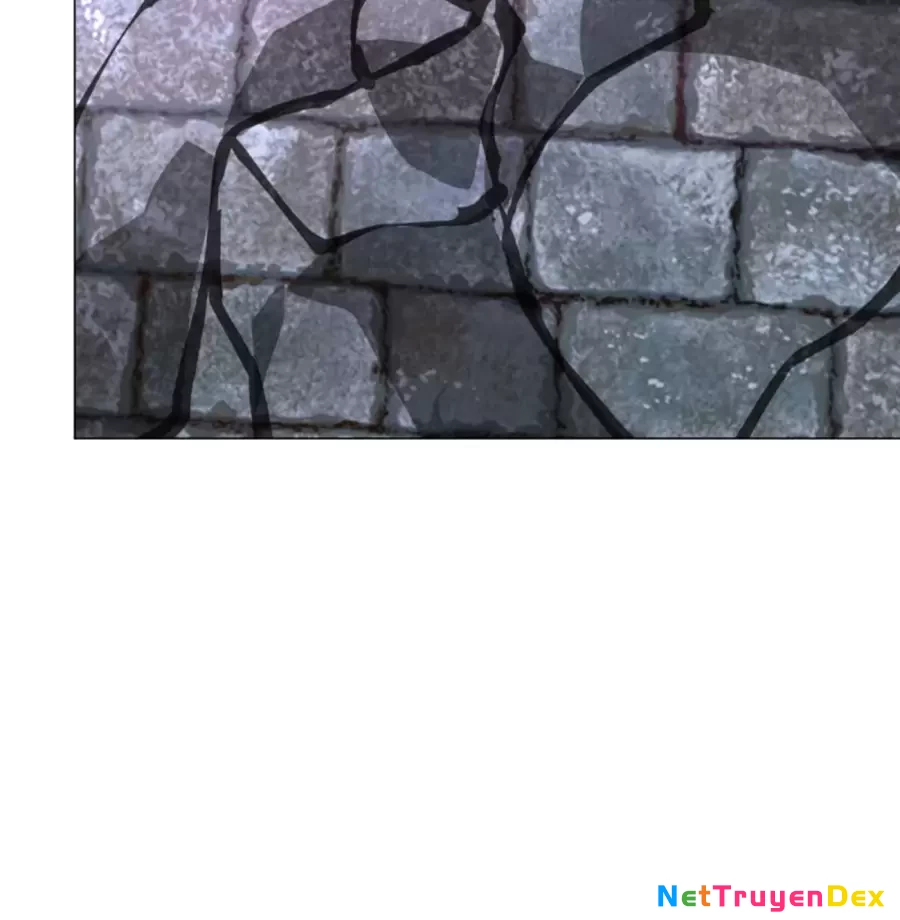 Người Ở Rể Bị Ép Thành Phản Diện Chapter 639 - Trang 3