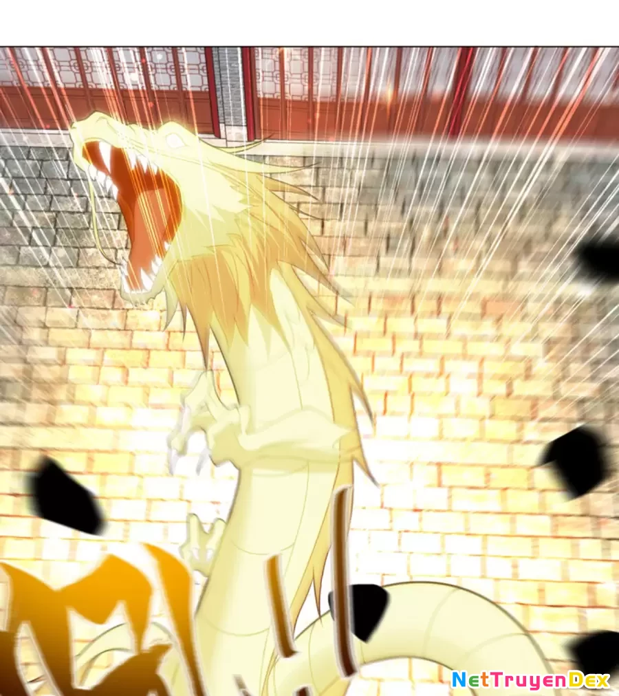 Người Ở Rể Bị Ép Thành Phản Diện Chapter 639 - Trang 3