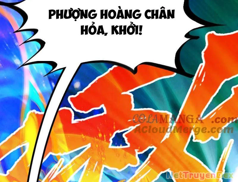 Vạn Cổ Chí Tôn Chapter 381 - Next Chapter 382