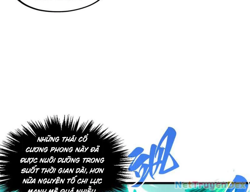 Vạn Cổ Chí Tôn Chapter 381 - Next Chapter 382