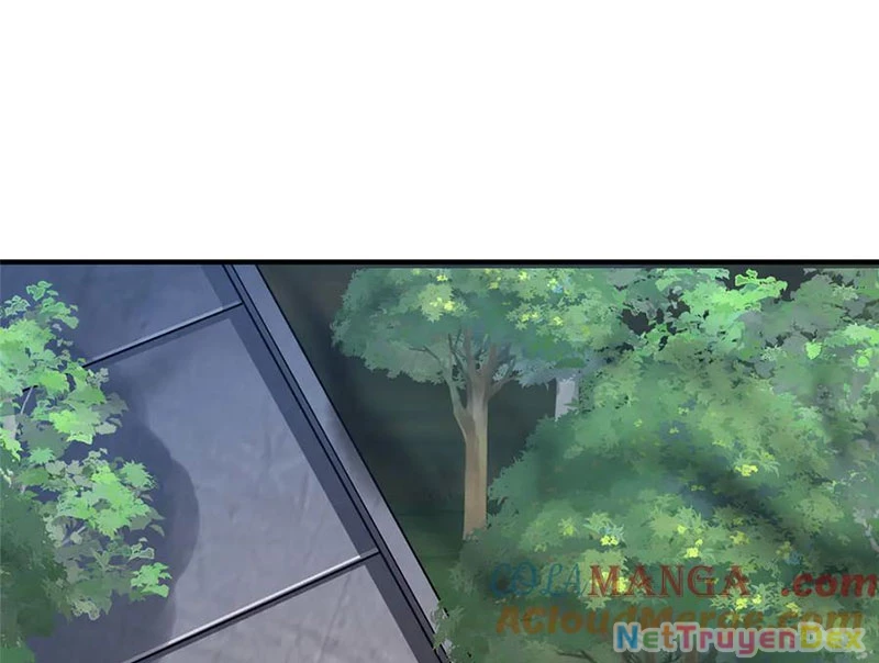 Thần Sủng Tiến Hóa Chapter 374 - Trang 4