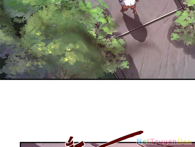 Thần Sủng Tiến Hóa Chapter 374 - Trang 4