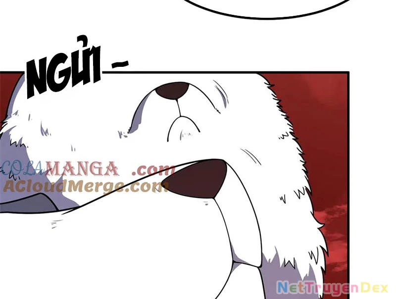 Thần Sủng Tiến Hóa Chapter 374 - Trang 4