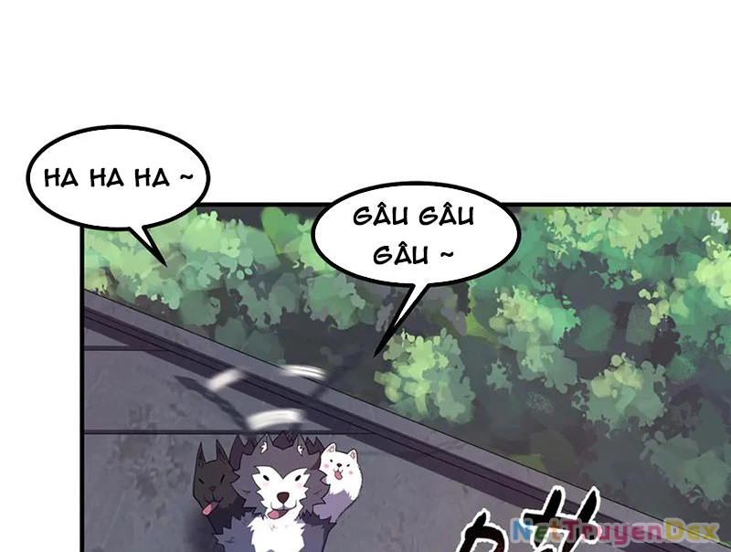 Thần Sủng Tiến Hóa Chapter 374 - Trang 4