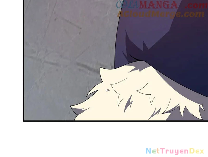 Thần Sủng Tiến Hóa Chapter 374 - Trang 4
