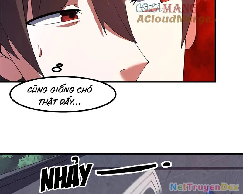 Thần Sủng Tiến Hóa Chapter 374 - Trang 4