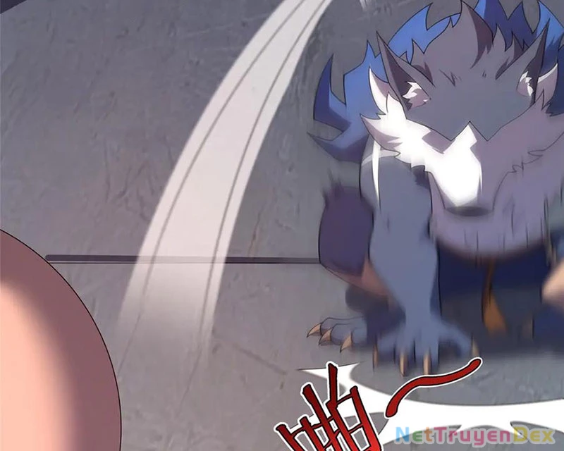 Thần Sủng Tiến Hóa Chapter 374 - Trang 4