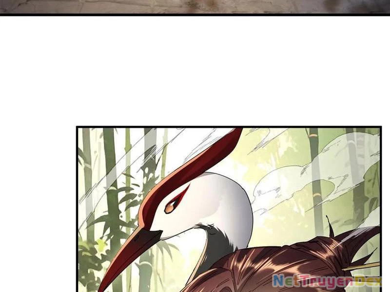 Hồng Hoang: Bắt Đầu Từ Việc Nhận Minh Hà Làm Con Gái Nuôi Chapter 22 - Trang 3