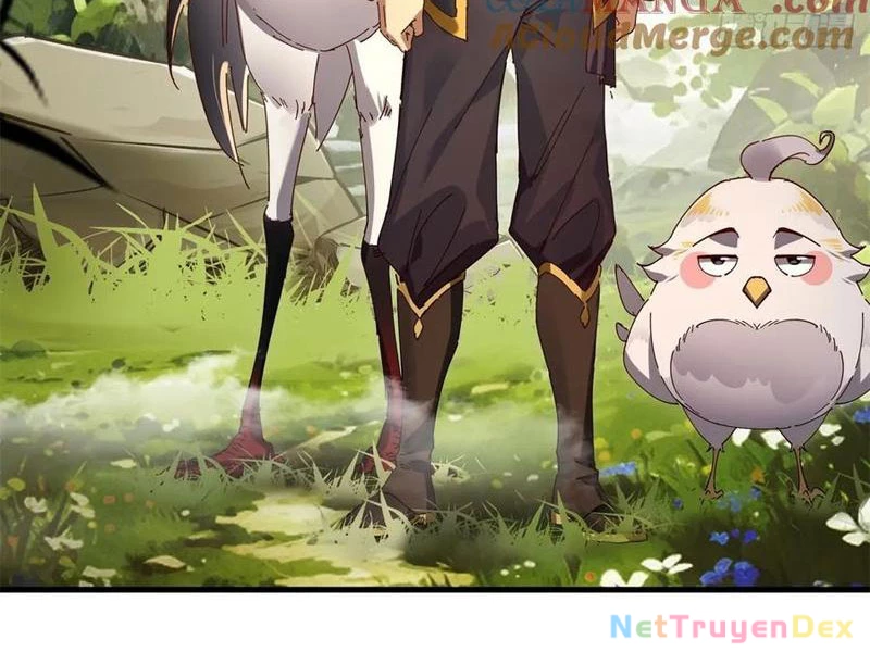 Hồng Hoang: Bắt Đầu Từ Việc Nhận Minh Hà Làm Con Gái Nuôi Chapter 22 - Trang 3