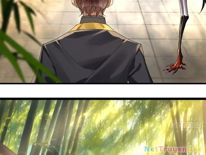 Hồng Hoang: Bắt Đầu Từ Việc Nhận Minh Hà Làm Con Gái Nuôi Chapter 22 - Trang 3