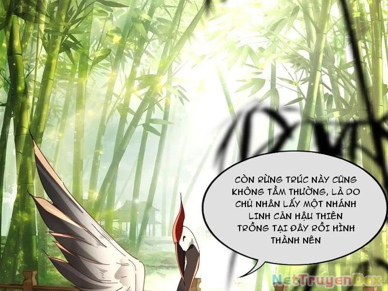 Hồng Hoang: Bắt Đầu Từ Việc Nhận Minh Hà Làm Con Gái Nuôi Chapter 22 - Trang 3