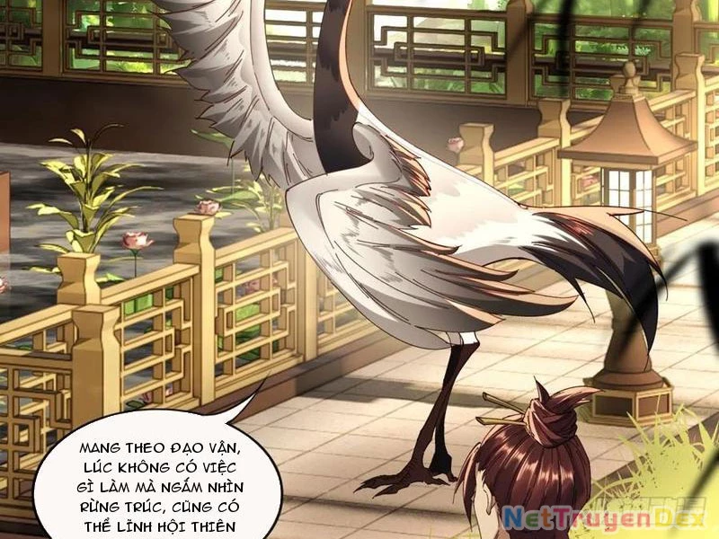 Hồng Hoang: Bắt Đầu Từ Việc Nhận Minh Hà Làm Con Gái Nuôi Chapter 22 - Trang 3