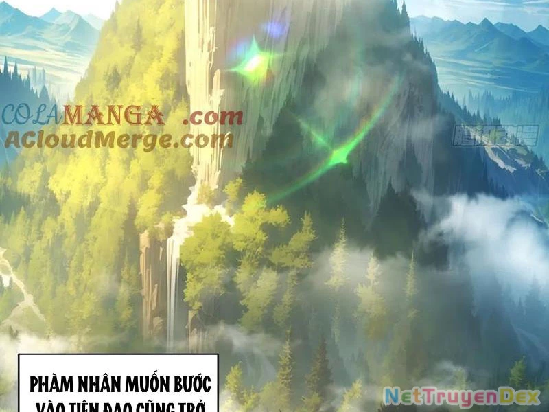 Hồng Hoang: Bắt Đầu Từ Việc Nhận Minh Hà Làm Con Gái Nuôi Chapter 22 - Trang 3