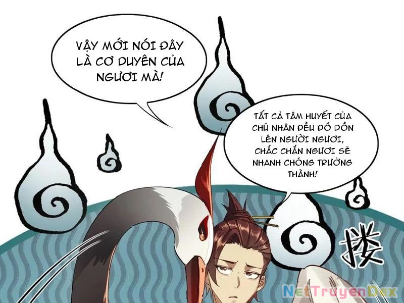 Hồng Hoang: Bắt Đầu Từ Việc Nhận Minh Hà Làm Con Gái Nuôi Chapter 22 - Trang 3