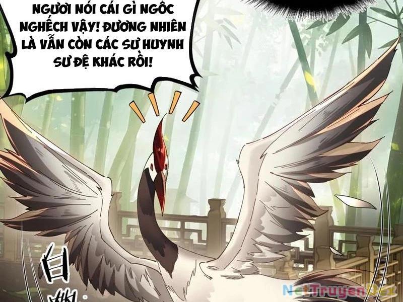 Hồng Hoang: Bắt Đầu Từ Việc Nhận Minh Hà Làm Con Gái Nuôi Chapter 22 - Trang 3