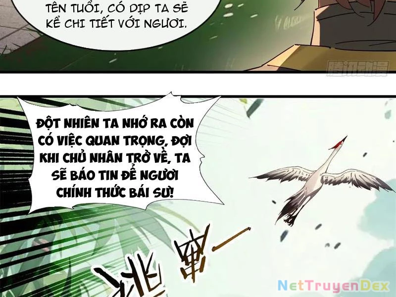 Hồng Hoang: Bắt Đầu Từ Việc Nhận Minh Hà Làm Con Gái Nuôi Chapter 22 - Trang 3