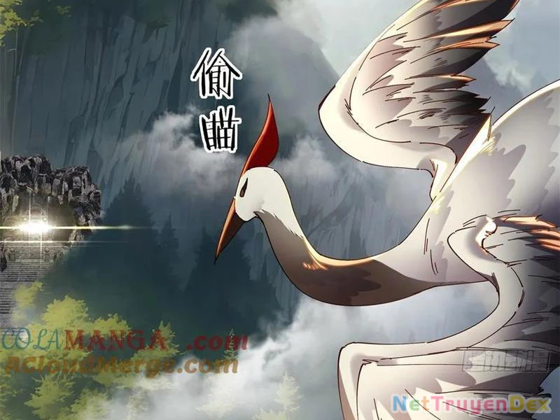 Hồng Hoang: Bắt Đầu Từ Việc Nhận Minh Hà Làm Con Gái Nuôi Chapter 22 - Trang 3