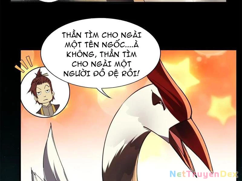 Hồng Hoang: Bắt Đầu Từ Việc Nhận Minh Hà Làm Con Gái Nuôi Chapter 22 - Trang 3