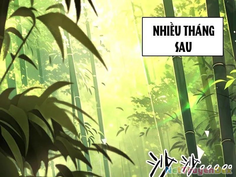 Hồng Hoang: Bắt Đầu Từ Việc Nhận Minh Hà Làm Con Gái Nuôi Chapter 22 - Trang 3