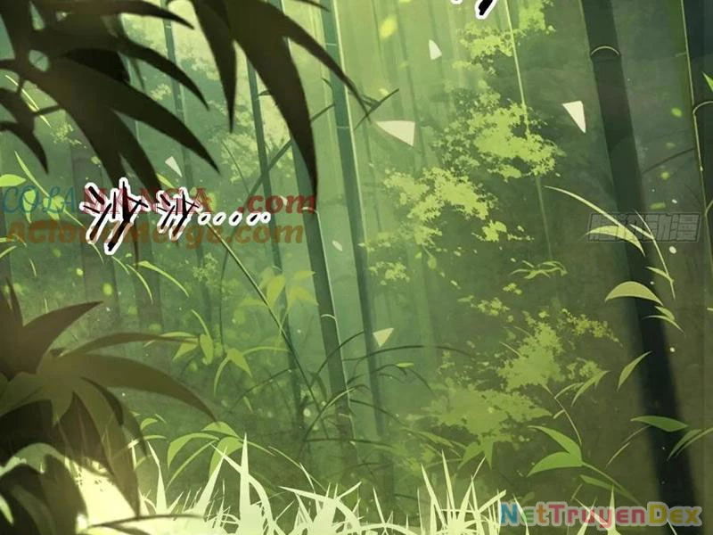 Hồng Hoang: Bắt Đầu Từ Việc Nhận Minh Hà Làm Con Gái Nuôi Chapter 22 - Trang 3