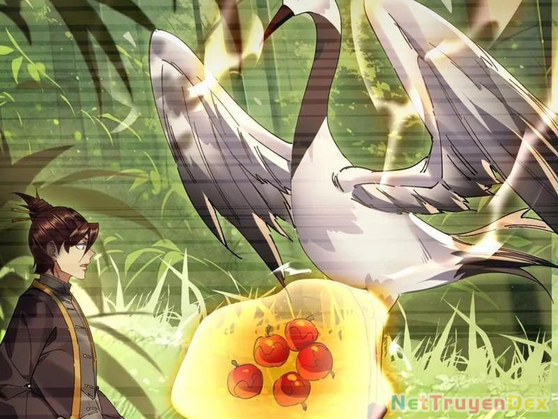 Hồng Hoang: Bắt Đầu Từ Việc Nhận Minh Hà Làm Con Gái Nuôi Chapter 22 - Trang 3