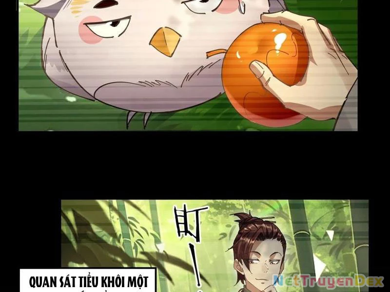 Hồng Hoang: Bắt Đầu Từ Việc Nhận Minh Hà Làm Con Gái Nuôi Chapter 22 - Trang 3