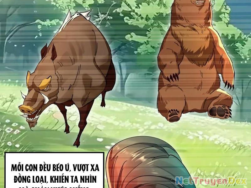 Hồng Hoang: Bắt Đầu Từ Việc Nhận Minh Hà Làm Con Gái Nuôi Chapter 22 - Trang 3