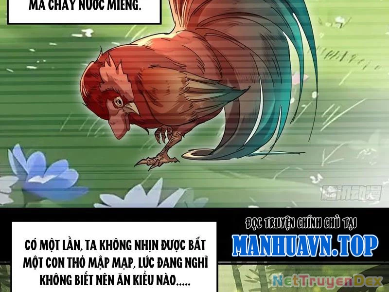 Hồng Hoang: Bắt Đầu Từ Việc Nhận Minh Hà Làm Con Gái Nuôi Chapter 22 - Trang 3