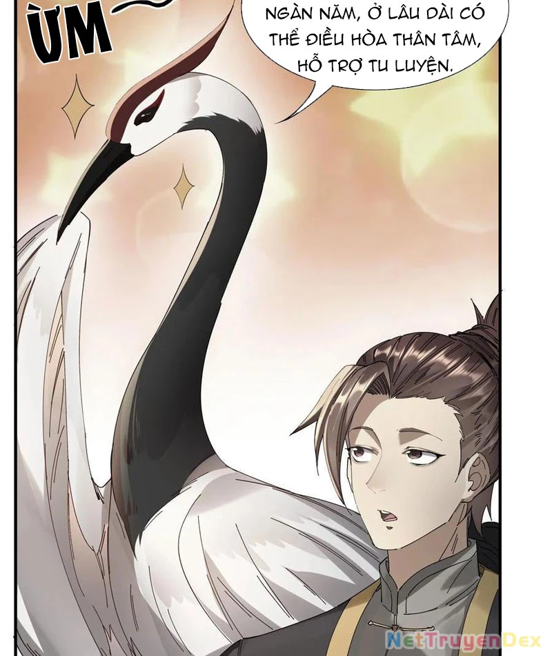 Hồng Hoang: Bắt Đầu Từ Việc Nhận Minh Hà Làm Con Gái Nuôi Chapter 23 - Trang 3