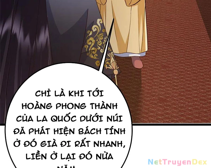 Chưởng Môn Khiêm Tốn Chút Chapter 461 - Trang 4