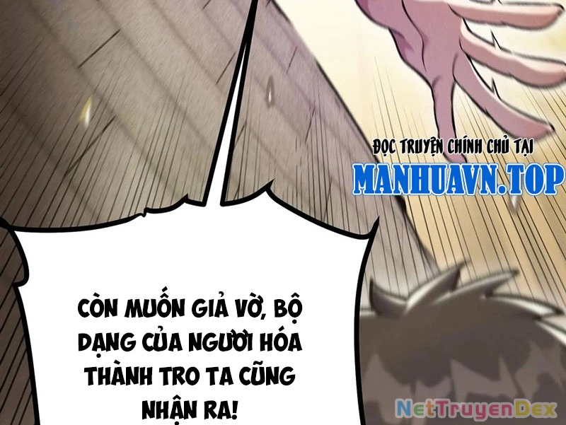 Ta Làm Súc Vật Ở Tu Tiên Giới Chapter 30 - Trang 2