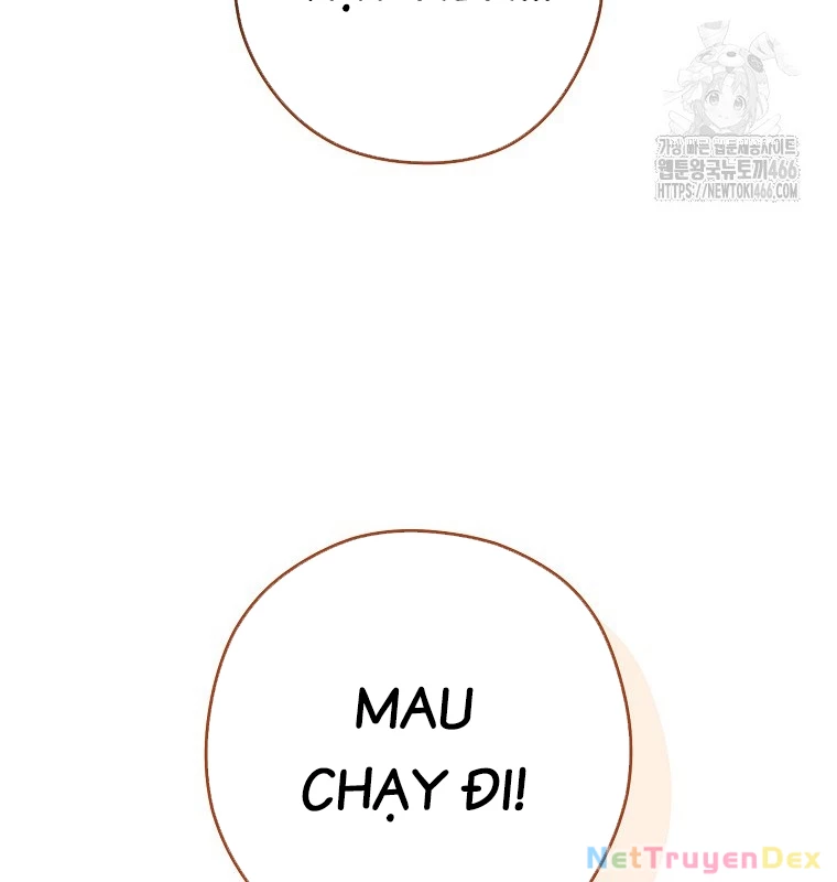 Tái Thiết Hầm Ngục Chapter 233 - Next Chapter 234