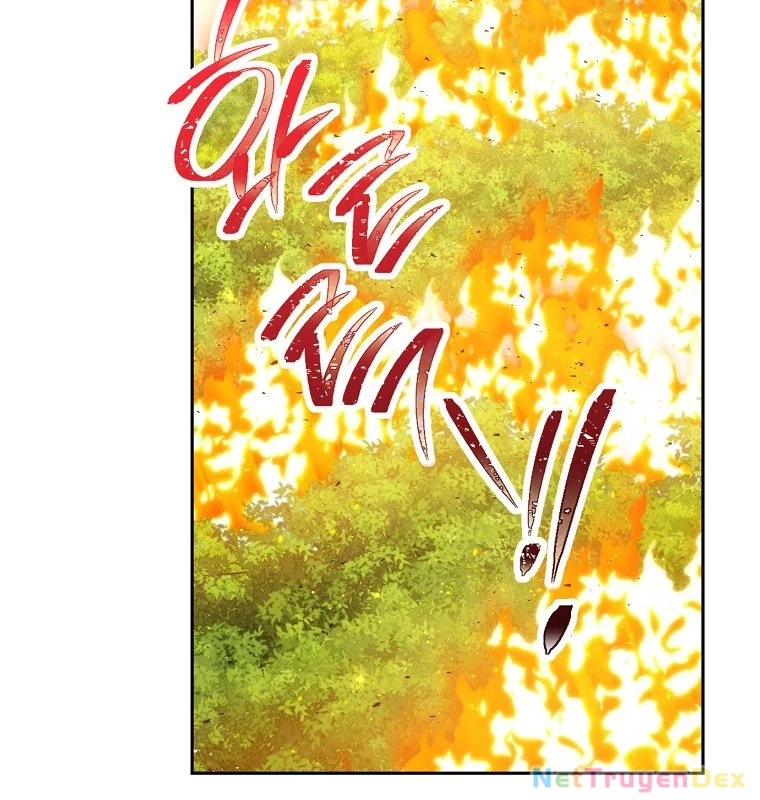 Tái Thiết Hầm Ngục Chapter 233 - Next Chapter 234
