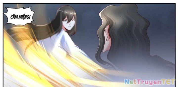 Trọng Sinh Đô Thị Tu Tiên Chapter 1065 - Trang 4