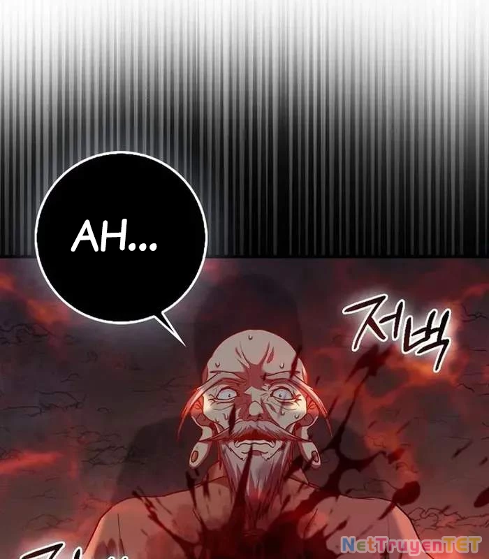 Thiên Tài Võ Thuật Hồi Quy Chapter 78 - Trang 4