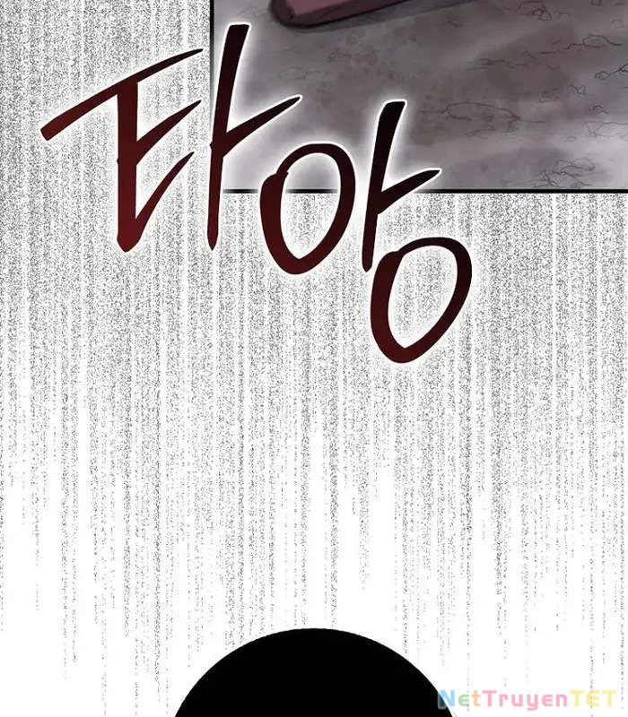 Thiên Tài Võ Thuật Hồi Quy Chapter 78 - Trang 4