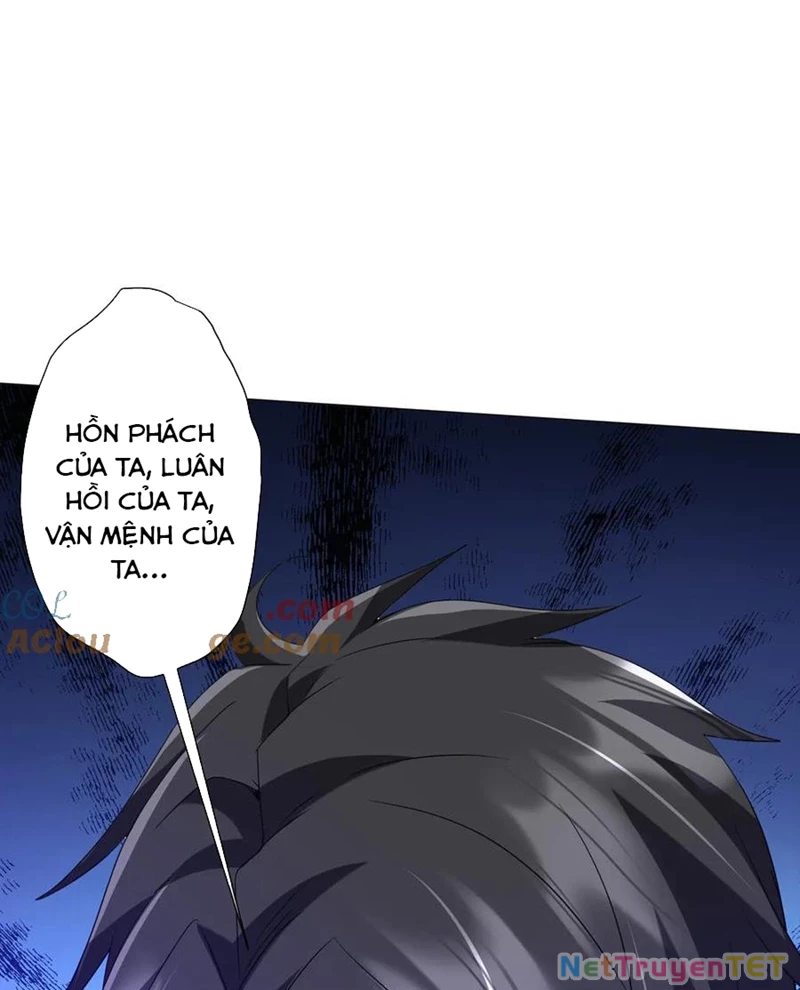 Bắt Đầu Với Trăm Vạn Minh Tệ Chapter 207 - Trang 4