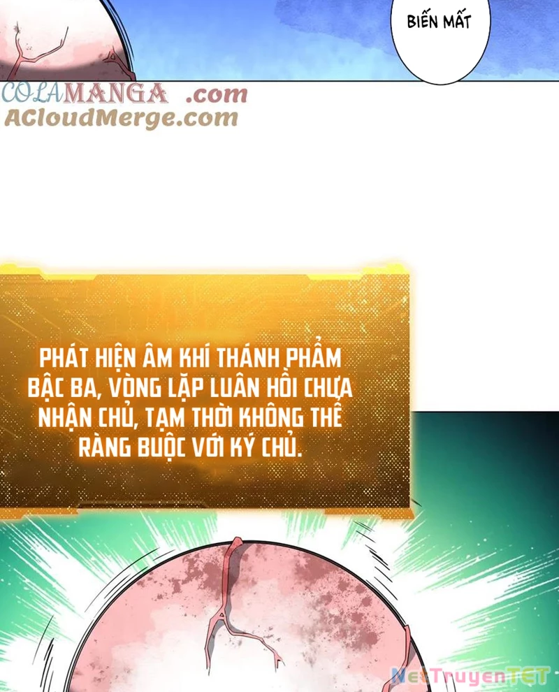 Bắt Đầu Với Trăm Vạn Minh Tệ Chapter 207 - Trang 4